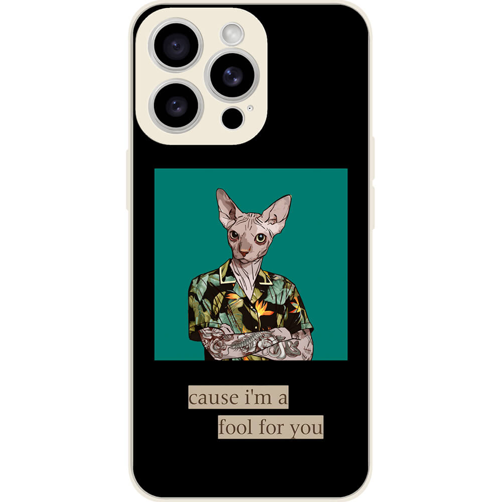 Cool Sphynx Cat
